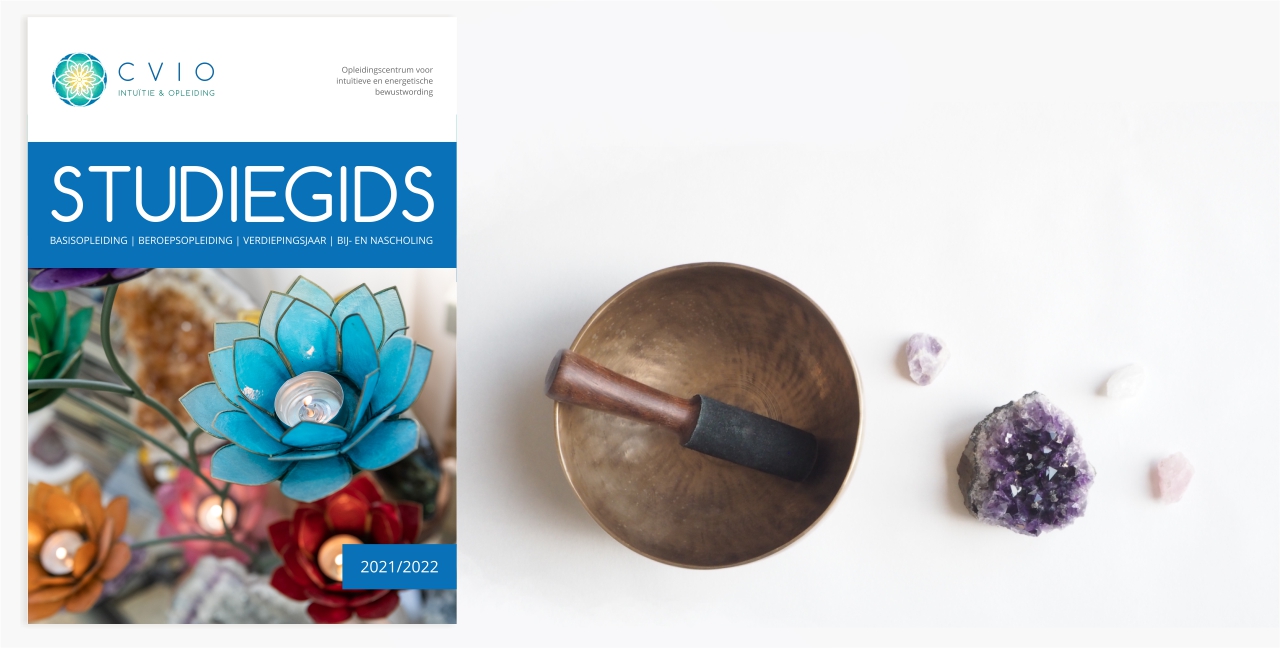 download-studiegids-cvio-2021